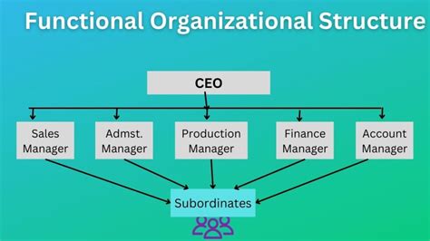 What Is Functional Organizational Structure Definition And Proscons