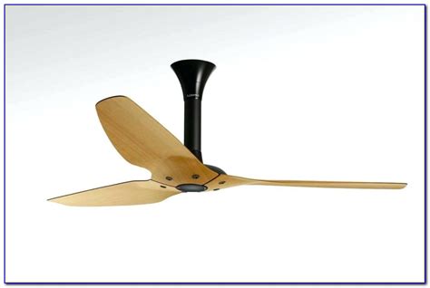 Single Blade Ceiling Fan With Light Ceiling Home Design Ideas