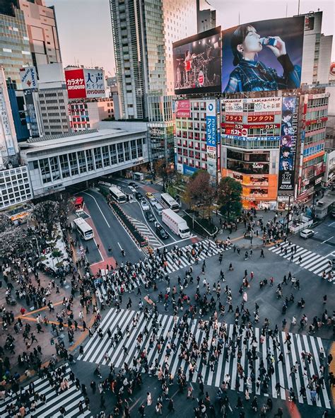 The Amazing Organized Chaos Of Shibuya Crossing For A This View Head