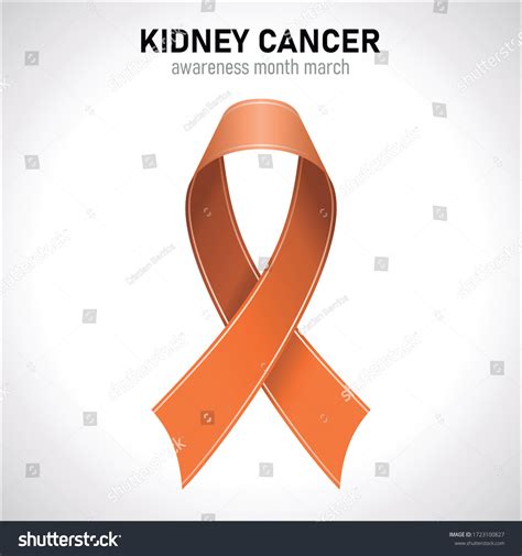 Kidney Cancer Orange Ribbon Vector Stock Vector Royalty Free 1723100827