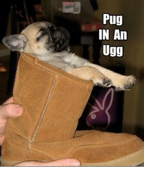 Fabsquad queens_over_bitches rp the far from basic @scousebarbi. 25+ Best Memes About Uggs | Uggs Memes