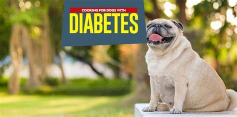 Homemade diabetic dog food recipes (like this one, this one or this one) should follow the above mentioned guidelines on macronutrients and specific foods. What to Feed a Diabetic Dog (And What Not To) | Diabetic ...