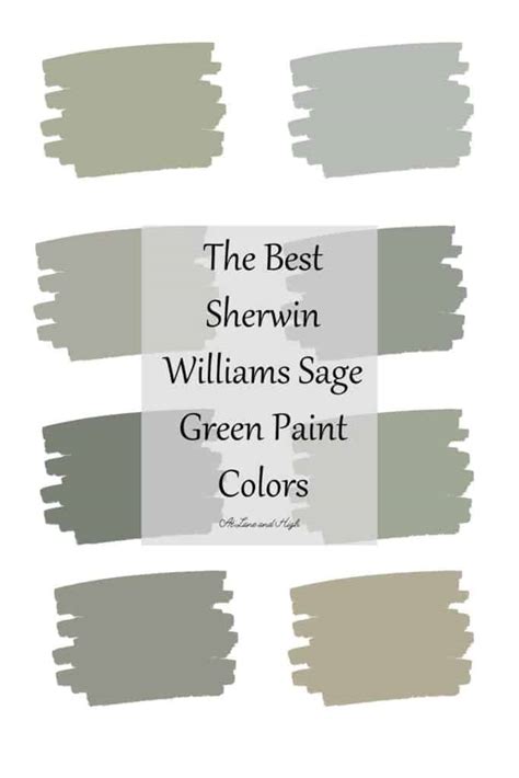 The 8 Best Sherwin Williams Sage Green Paint Colors