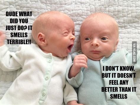 Hilarious Twin Boys Animals Funny Baby Memes Baby Jokes Funny