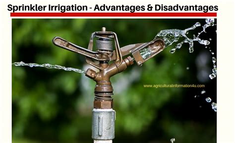 The installation process needs time. Advantages and Disadvantages of Sprinkler Irrigation ...