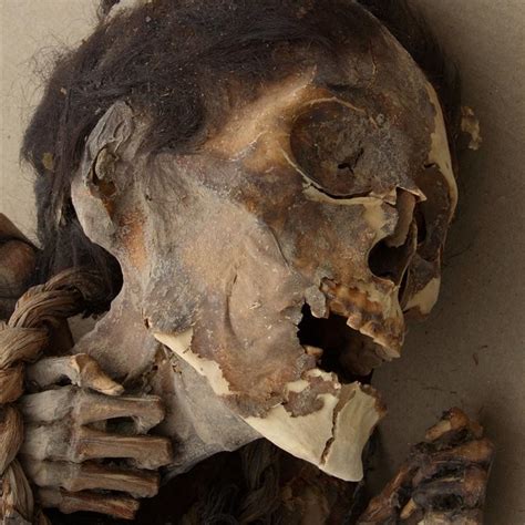 Las momias chinchorro se encuentran en la región de tarapacá de chile, en el museo arqueológico san miguel de azapa, unidad que se encuentra a cargo de la universidad de tarapacá. Las momias Chinchorro de Atacama, las más antiguas del mundo