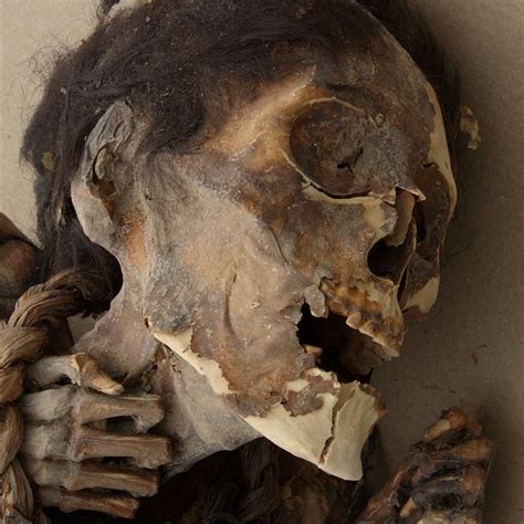 Los chinchorros habitaron el litoral del desierto de atacama, desde ilo, perú, hasta antofagasta, chile, y subsistieron gracias a la pesca y recolección de mariscos. Las momias Chinchorro de Atacama, las más antiguas del mundo