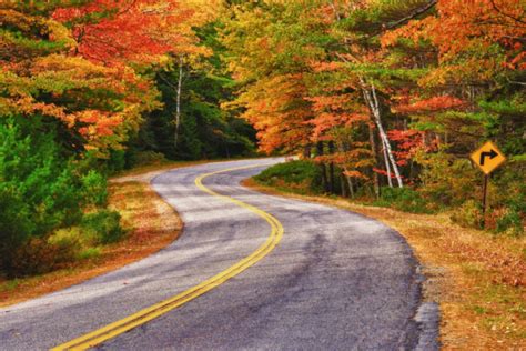 Ultimate 2023 Maine Fall Foliage Map And Peak Prediction Guide