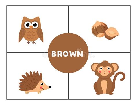 Learning Basic Primary Colors For Children Brown Stock Vector