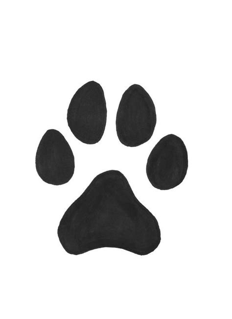 How To Draw A Cat Paw Print Here Is How They Are Different