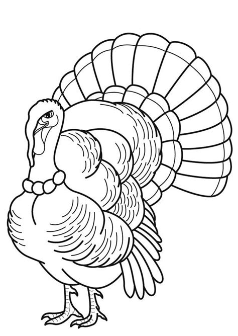 Maybe you would like to learn more about one of these? Turkey Feather Coloring Page - Coloring Home
