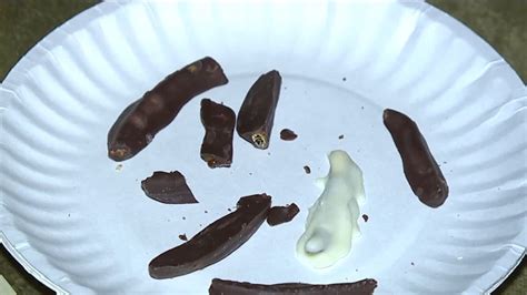 Taste Test Chocolate Covered Worms