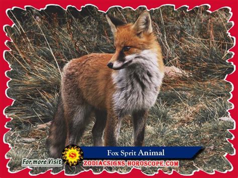 Fox Spirit Animal Meaning Symbolism Dreams Of Fox Animal Totem
