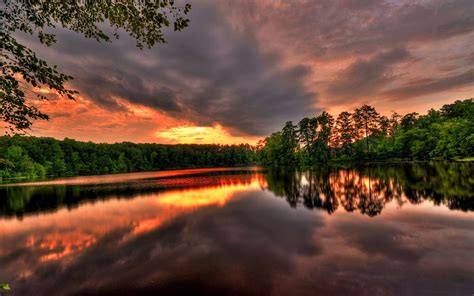 Coucher De Soleil Fleuve Forêt Belle Photographie De Paysage Fluvial