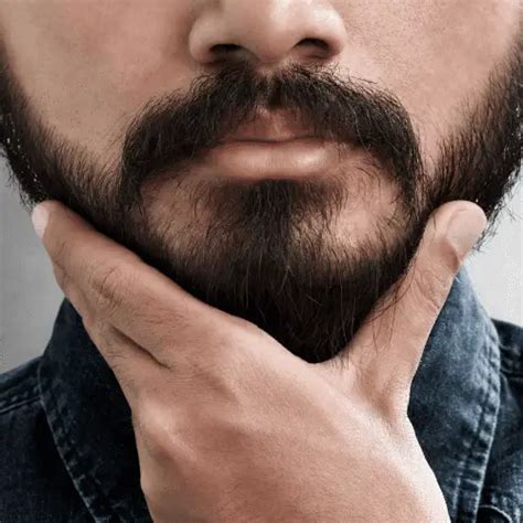 Best Beard Styles For Round Face Ultimate Guide Mesomen Com