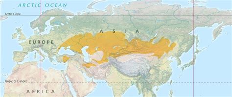 Steppes In Eurasia Maps On The Web
