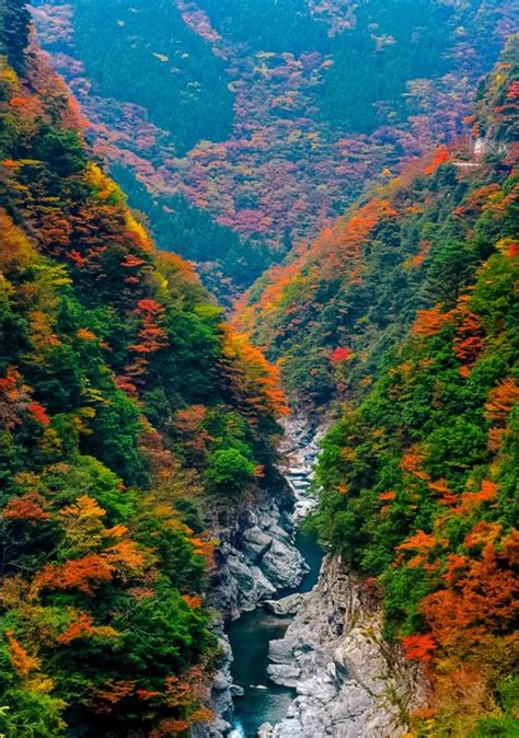 Coiour My World Iya Valley Tokushima Japan Tokushima Autumn