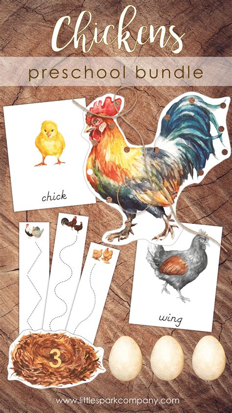 Chickens Bundle Preschool Literacy Math Digital Download Etsy Canada