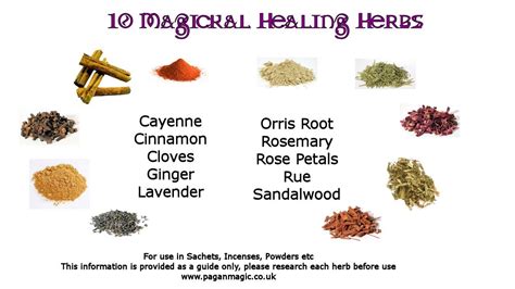 10 Herbs For Healing Spells Magic Herbs Herbal Magic Healing Herbs