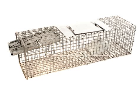 Free Stock Photo 10766 Rat Trap Cage Isolated On White Background