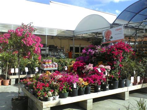 At our garden center in chania, our goal is to create a beautiful lush environment within your landscape garden and home. Home depot garden center | Picture of the beautiful ...