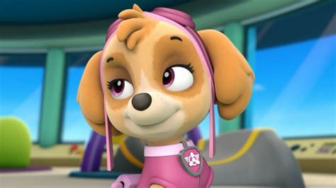Paw Patrol Skye Pikolcreator 28476 Hot Sex Picture