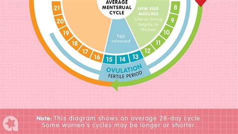 know when you re fertile with this easy chart
