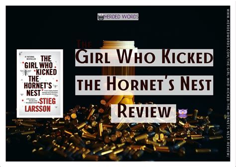 the girl who kicked the hornet s nest review and analysis hw
