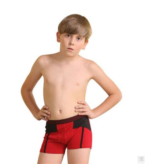 2017 3 15years Old Children Modal Underwear Boy Underwear Underwear 114