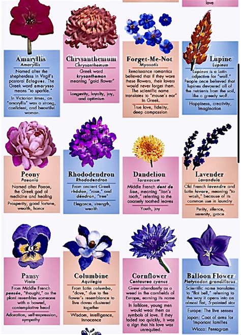The Different Types Of Flowers Are Shown In This Poster Which Includes An Image Of Purple And