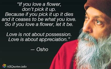 Osho Quotes 25 The Best Ones All Quotes Osho Quotes Osho Quotes On Life Osho