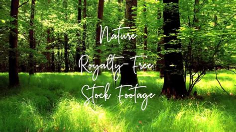 15 Beautiful Nature Stock Footage Royalty Royalty Naturegrace2go