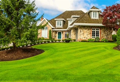 When columbus residents need the best in lawn care services, they turn to nexgreen. Lawn Care Lewis Center Ohio | ExperiGreen