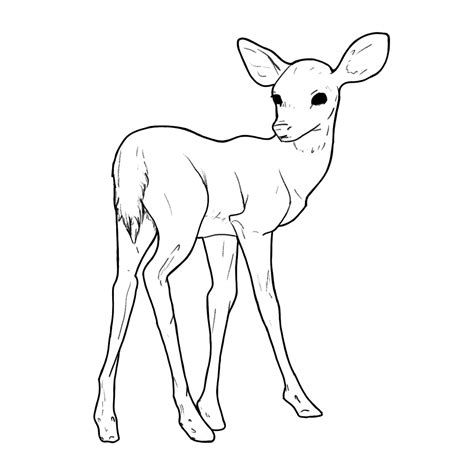 Baby Deer Line Art Art Line Art Baby Deer
