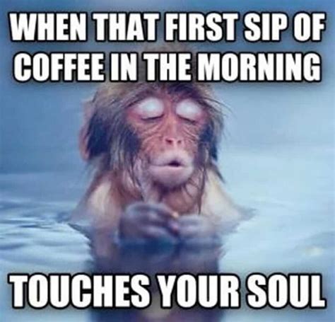 Best Good Morning Memes And Jokes To Kickstart Your Day Inspirationfeed