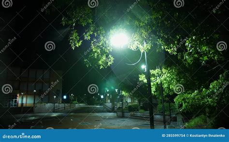 Street Light Rain Droprain In The Night Light Rainfall Puddle With