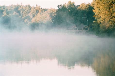 Free Images Landscape Tree Water Nature Forest Fog Sunrise