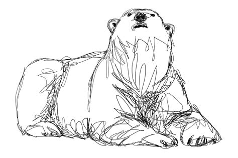 Polar Bear Drawing Illustration Doodle Graphic By Topstar · Creative