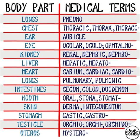 For Better Understanding On Medical Terms Coolguides
