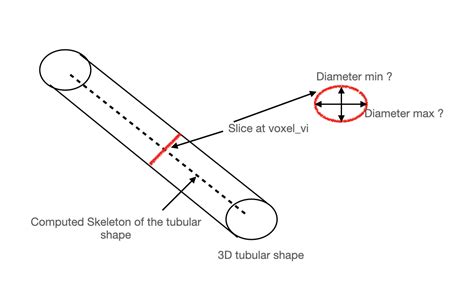 Python Computing Maximum And Minimum Diameter Of A 3d Tubular Shape