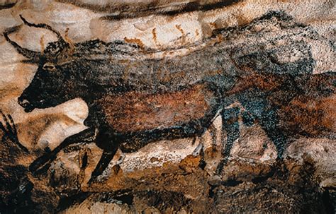 The Cave Art Paintings Of The Lascaux Cave