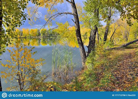 Colorful Autumn Landscape On The Bank Of Lake Footpath On Lakeside