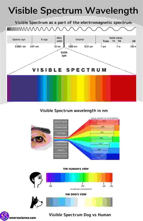 Visible Light Spectrum Wavelengths Poster Free Download Smore