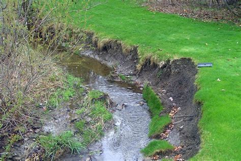 Erosion Prevention Using Plants BigYellowBag Lawn Garden News