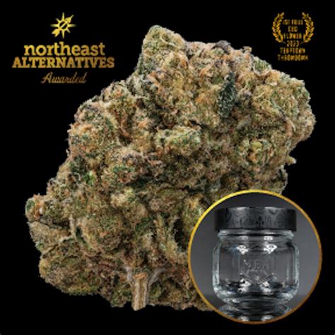 Northeast Alternatives Kine Garlic Tsunami Buds | Malden, MA | Misty