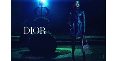 Rihanna For Dior Campaign Popsugar Fashion Photo 7