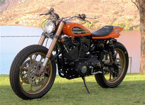 Indexed from all across the internet. Mule Shows the Potential Hidden in the Sportster