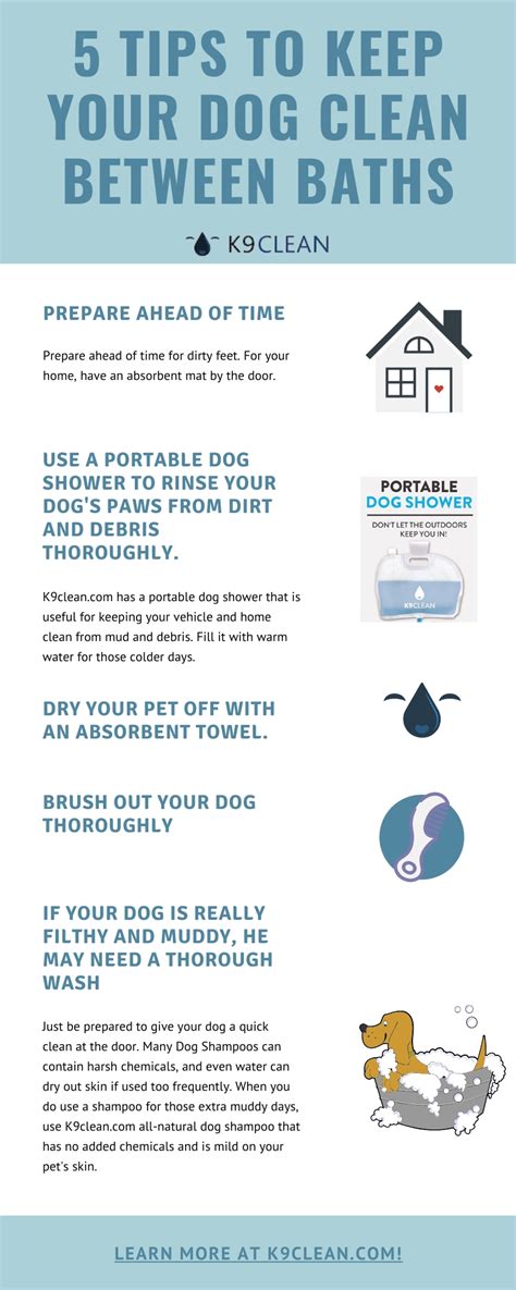 5 Tips On Keeping Your Dog Clean Between Baths K9clean