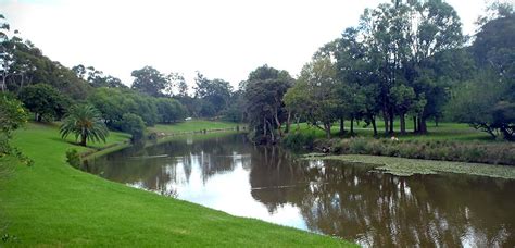 Parramatta River | The Dictionary of Sydney