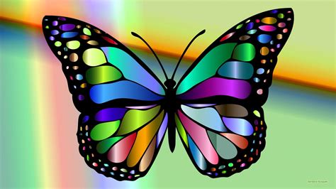 Colorful Butterfly Backgrounds Wallpaper Wallpaper Hd New